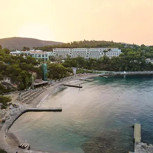 Semesteranläggning (resort) Pine Bay